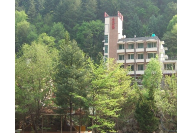 13104491_1.jpg