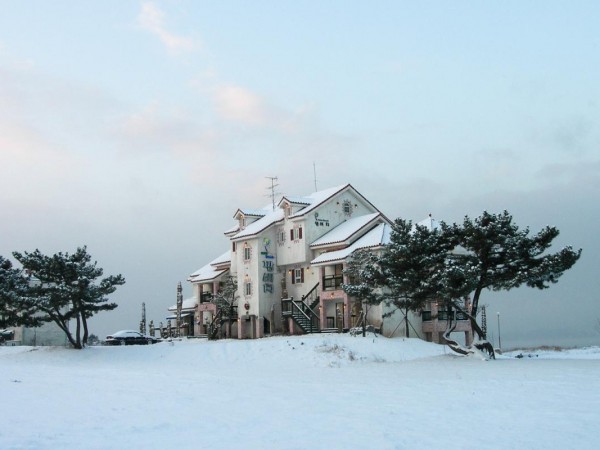 p10.jpg