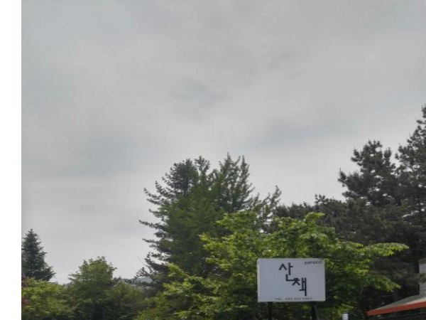 20170520_120328_HDR.jpg