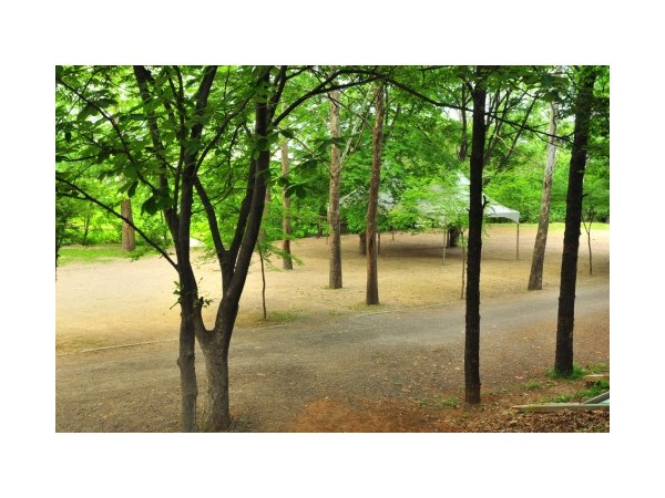 경기_한국스카우트연맹서삼릉청소년야영장_6.jpg?type=m500_500