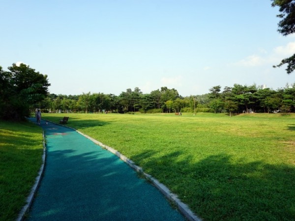 DSC01941.JPG#900x598