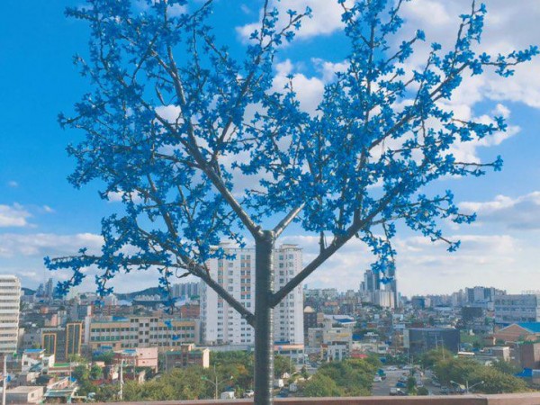 (사진9._꽃2).jpg
