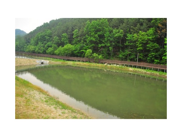 충남_인삼골오토캠핑장_3.jpg?type=m500_500