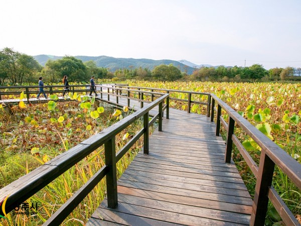 171008_경안천습지생태공원_04.jpg