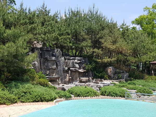 20170602_125336.jpg