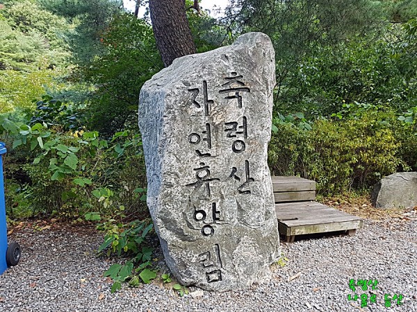 축령산등산20171006_095330.jpg#900x675