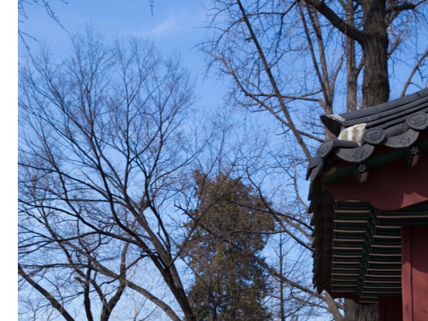 IMG_4238.jpg#550x852