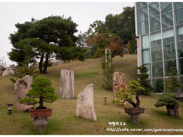 파주_가볼만한곳_소울원14-20171011.JPG