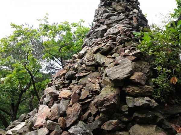 20150719_1119228.jpg