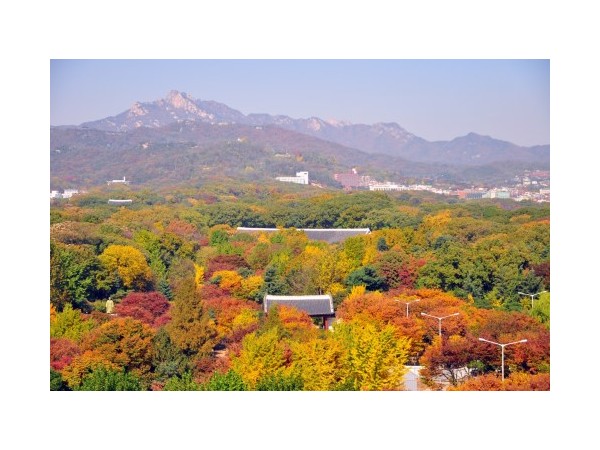 서울_종묘_1.JPG