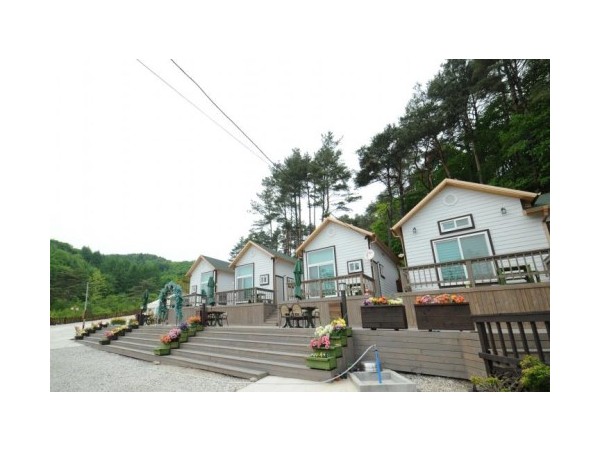 74151_720.jpg?type=m500_500