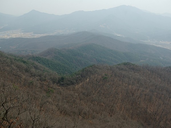 IMGP7545.JPG