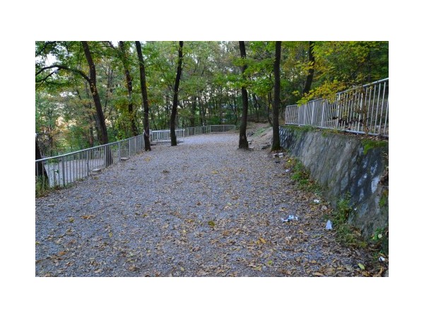 경기_모현야영장_14.JPG?type=m500_500