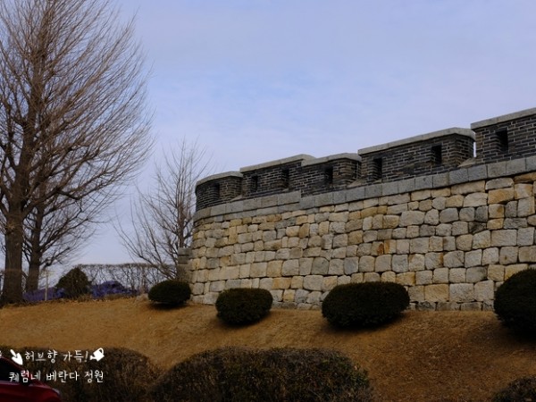 DSCF7868.JPG