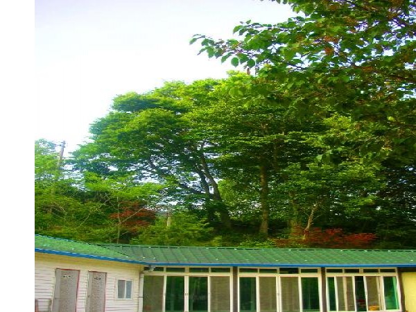 11738102_5.jpg
