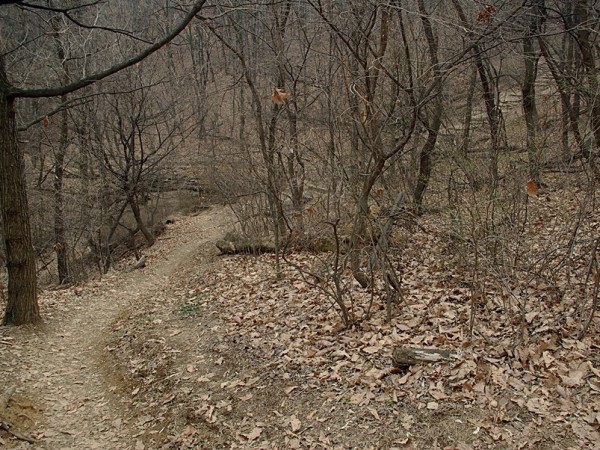 IMGP7158.JPG