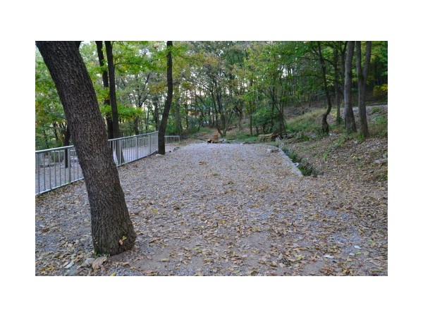 경기_모현야영장_13.JPG?type=m500_500