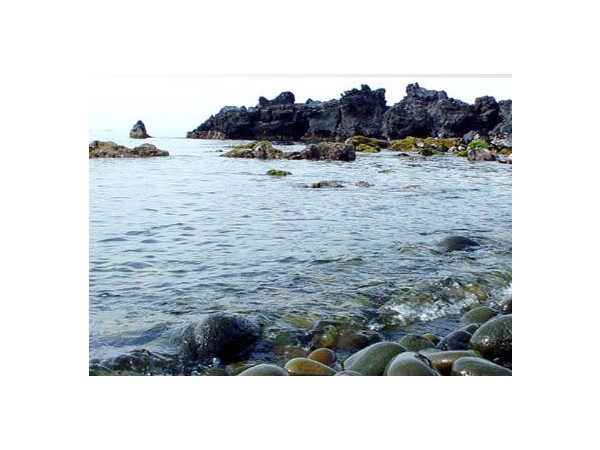 11578866_0.jpg