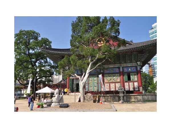 서울_조계사_13.JPG