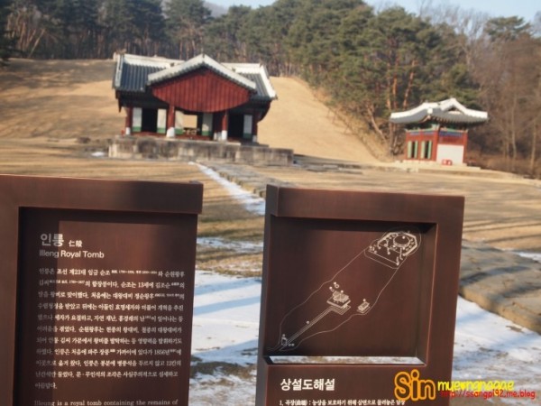 P1011560.jpg
