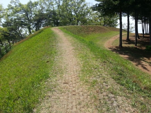 20160507_135638.jpg