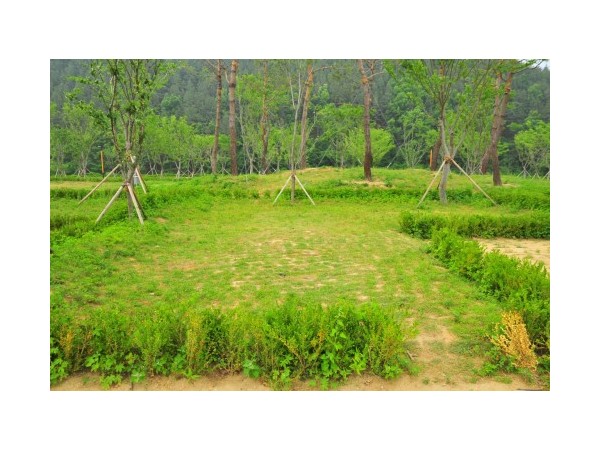 충남_인삼골오토캠핑장_4.jpg?type=m500_500