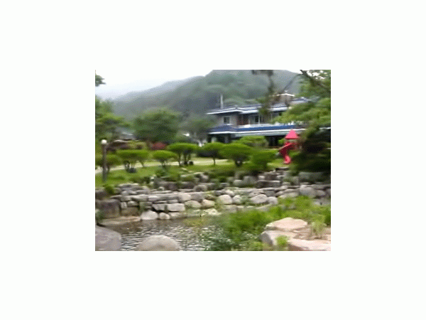 11656927_0.gif