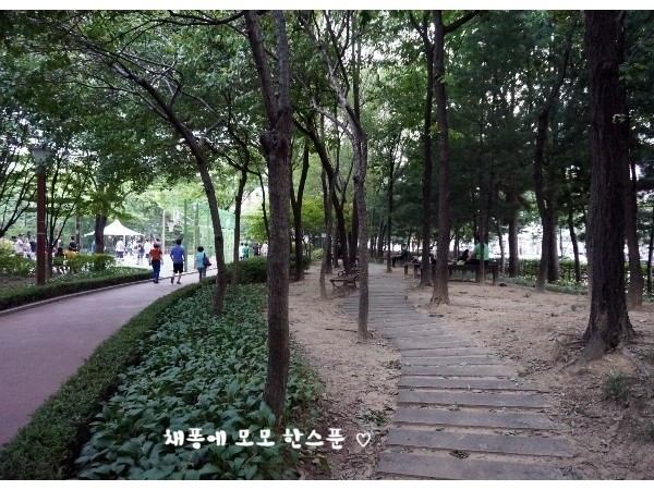 DSC00085.JPG#650x432
