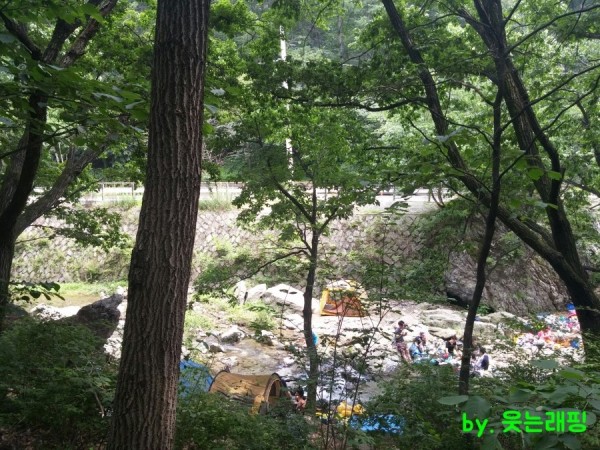 20150808_124856_resized.jpg