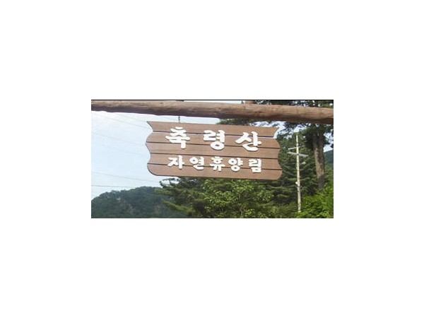 11491553_1.jpg