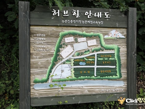 _MG_8206.JPG