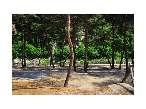 강원_리버힐즈오토캠프장_4.jpg?type=m500_500