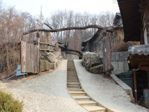 IMG_3159.JPG#740x493