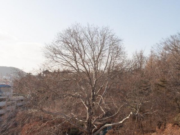IMG_0152.jpg#700x1050