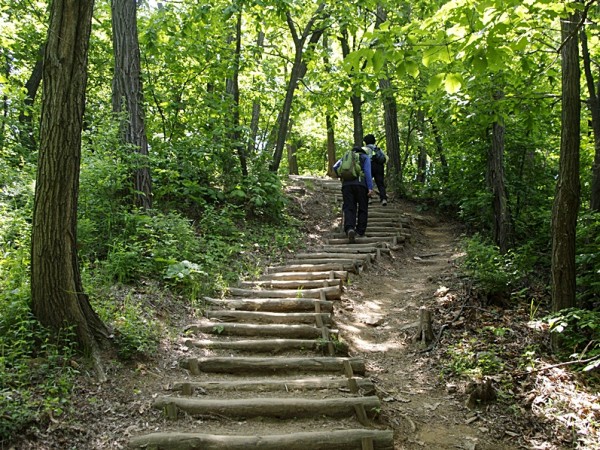 _IGP9840.JPG