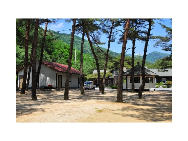강원_솔밭캠프장_6.jpg?type=m500_500