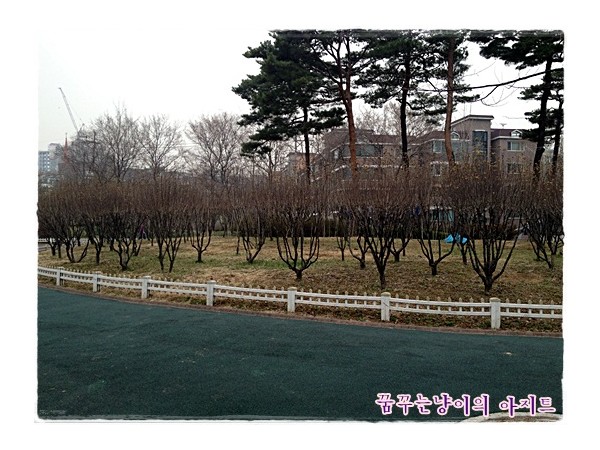 영등포_공원_(11).JPG#533x400