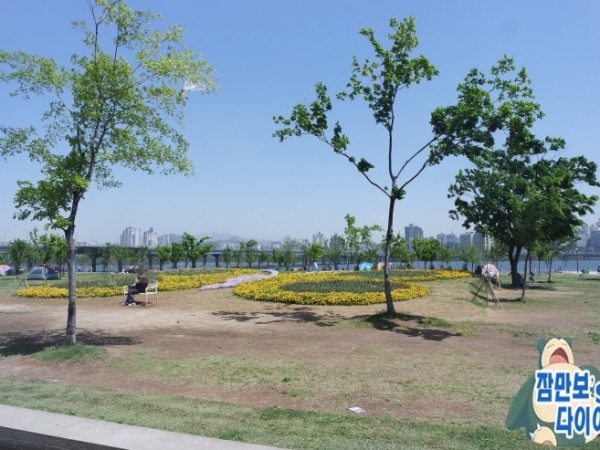 여의도_한강공원_데이트_(6).JPG#740x493