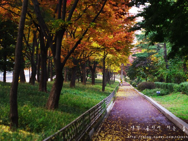 IMGP6612_복사.jpg