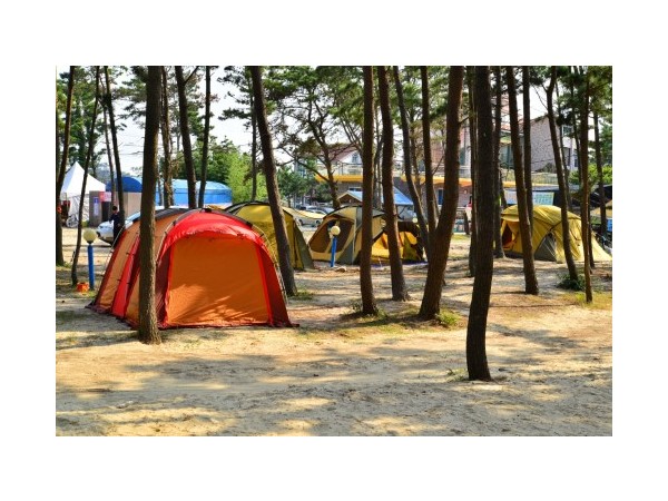 충남_마검포텐트야영장_5.JPG?type=m500_500