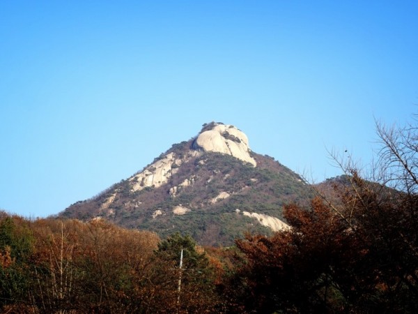 DSC08297.JPG