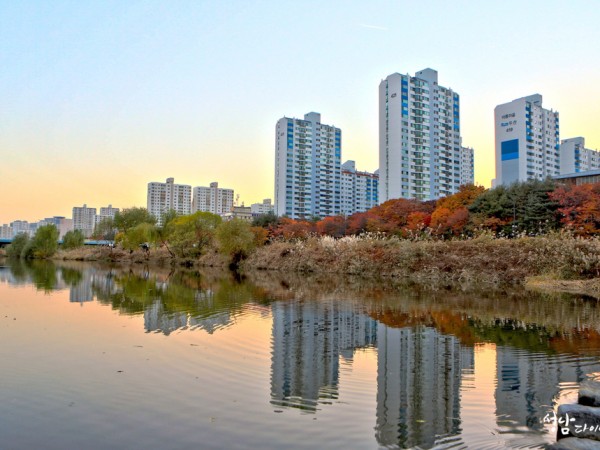 이매동_탄천변.JPG