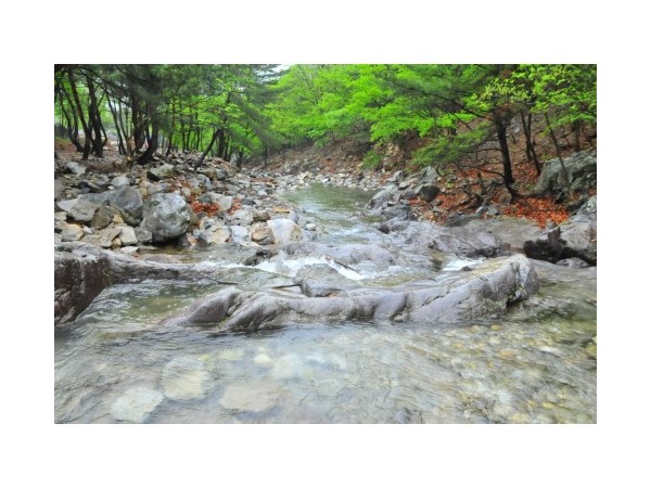 경북_수리덤오토캠핑장_2.jpg?type=m500_500