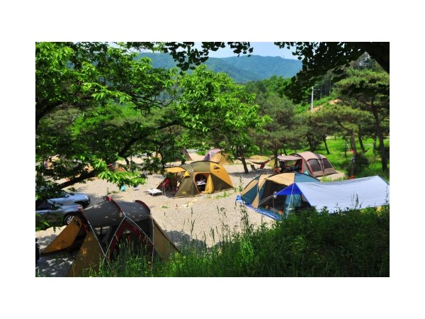 경기_솔뜰캠핑장_3.jpg?type=m500_500