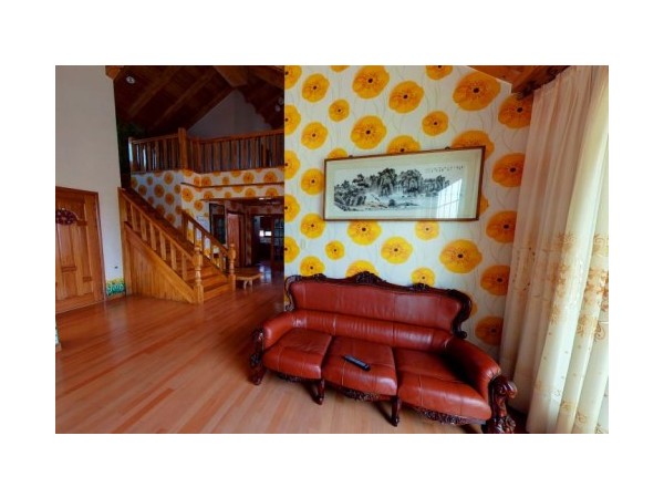 78087_720.jpg?type=m500_500