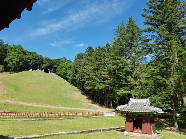 20170610_153705.jpg