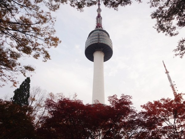 DSC03699.JPG#900x598