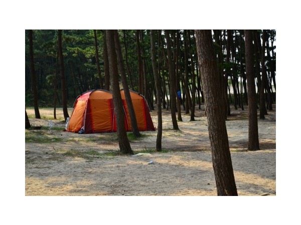 충남_마검포텐트야영장_4.JPG?type=m500_500