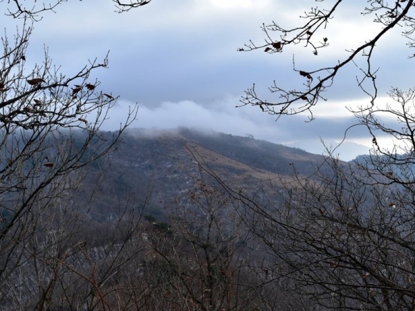 DSC_0040.JPG