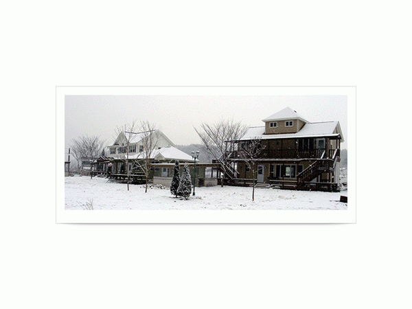 11594722_0.gif